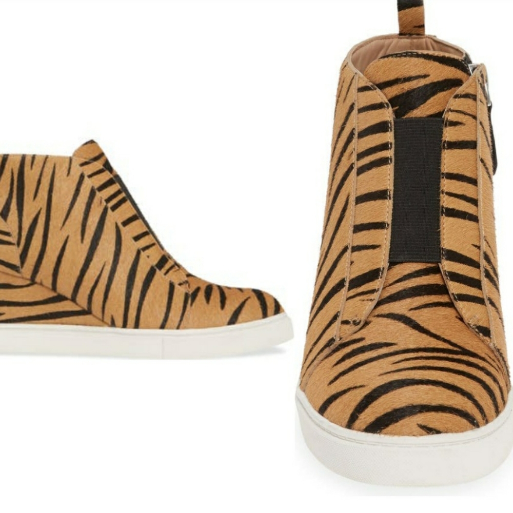 Paolo Sneaker Shoes.